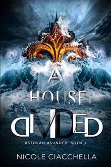 A House Divided by Nicole Ciacchella