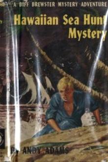 Hawaiian Sea Hunt Mystery by Andy Adams