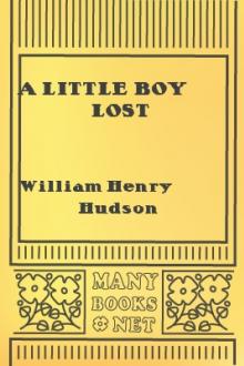 A Little Boy Lost by William Henry Hudson