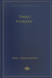 ''Pikku poikani'' by Emil Fredrik Nervander