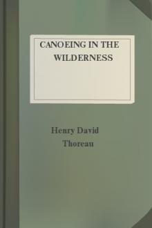 Canoeing in the wilderness by Henry David Thoreau