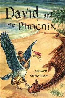 David and the Phoenix by Edward Ormondroyd