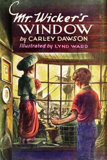 Mr. Wicker's Window by Carley Dawson