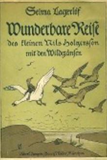 Wunderbare Reise des kleinen Nils Holgersson mit den Wildgänsen by Selma Lagerlöf