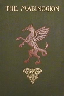 The Mabinogion by Unknown