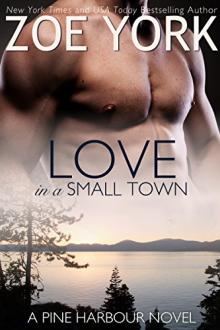 Love in a Small Town by Zoe York